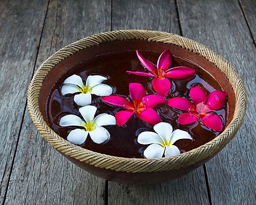 frangipani-flowers-in-float-bowl